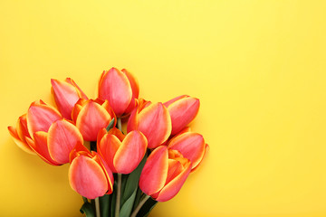 Bouquet of tulips on yellow background