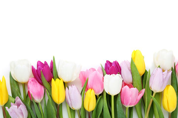 Fototapeta premium Bouquet of tulips on white background