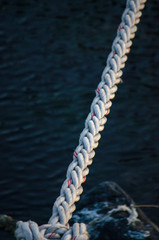Fototapeta premium Old Mossy Rope in The Sea