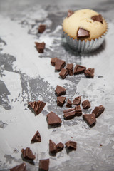 Freshly Baked Vanilla Muffin with Chocolate Chips