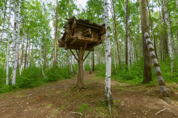 hut. privacy. loneliness. solitude. Russia. Siberia. Baikal