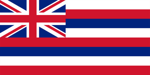 Hawaii State Flag Vector