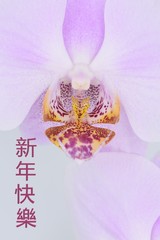 Chinese New Year greeting with orchid flower background. Translation: Happy New Year (in traditional Chinese language)