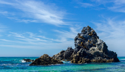 Birds sitting on Camel rock near Bermagui in NSW Australia
