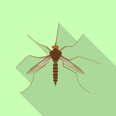 Isolated object of insect and fly symbol. Set of insect and element stock vector illustration.