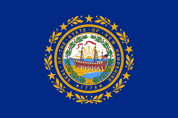 New Hampshire State Flag Vector