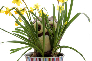 le printemps est arrivé