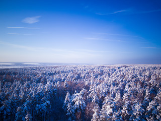 Winter forest after snowfall. Blue sky Aerial view landscape.