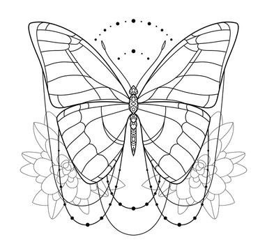 Beautiful  butterfly icon. Monochrome vector illustration is isolated on a white background. Insects art. Decorative element with for design.