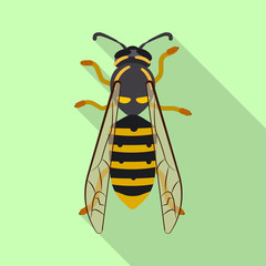 Vector illustration of insect and fly sign. Collection of insect and element stock symbol for web.