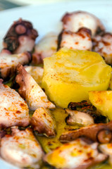 Octopus with potatoes served on a plate