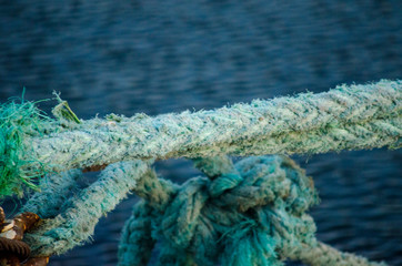 Old Mossy Rope in The Sea