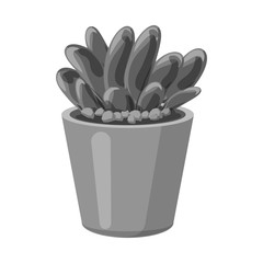 Vector design of cactus and pot icon. Collection of cactus and cacti vector icon for stock.