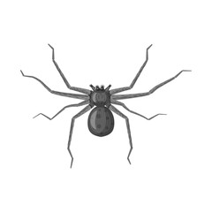 Isolated object of insect and fly sign. Set of insect and element vector icon for stock.