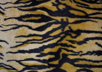 Tiger Print / animal print  Background carpet