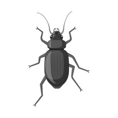 Isolated object of insect and fly symbol. Collection of insect and element stock vector illustration.