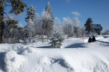 Winterwonderland im Schwarzwald