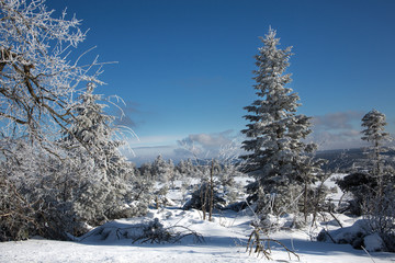 Winterwonderland im Schwarzwald