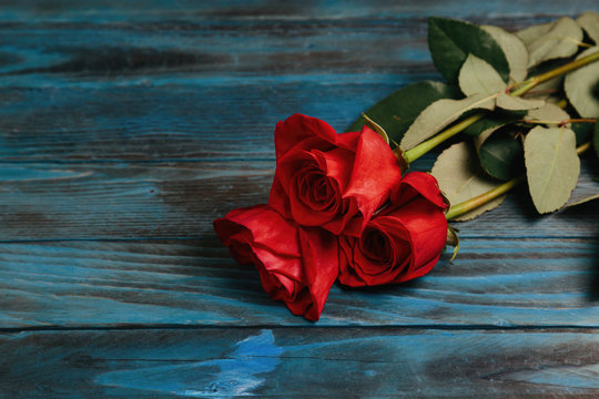 bouquet of red roses on a blue wooden background