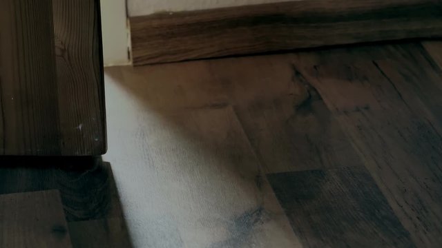 Eine Spinne, genannt Hauswinkelspinne oder Tegenaria domestica, krabbelt durch einen T&uuml;rspalt in einen Raum