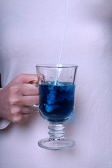 Blue tea Anchan with milk in an Irish glass in female hand