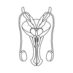 Isolated object of body and human logo. Collection of body and medical stock symbol for web.