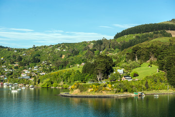 Fototapeta na wymiar Sea approach to Port Chalmers, the port for the city of Dunedin in the South Island of New Zealand