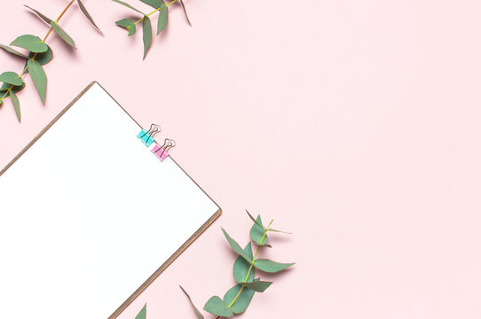 Flat lay clipboard with blank paper, green eucalyptus branches on pastel pink background. Top view female office workspace minimal mock up template concept, copy space. Feminine floral desktop