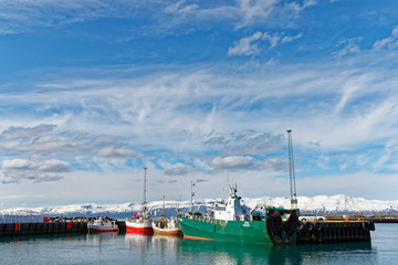 Naklejka premium Hafen von Husavik, Island
