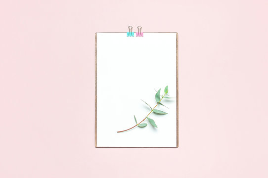 Flat lay clipboard with blank paper, green eucalyptus branches on pastel pink background. Top view female office workspace minimal mock up template concept, copy space. Feminine floral desktop