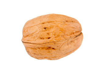 Walnut close up isolated on white background