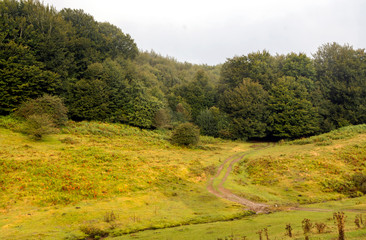 Obraz premium Pyrenees mountains in Navarra in a cloudy day