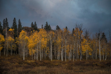 Kolob Terrace Autumn
