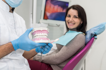 Dentist holding model of jaw in hands closeup