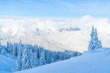 View of winter landscape with snow covered trees and Alps in Seefeld in the Austrian state of Tyrol. Winter in Austria