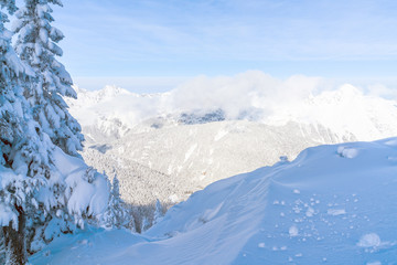 Obraz premium View of winter landscape with snow covered Alps in Seefeld in the Austrian state of Tyrol. Winter in Austria
