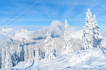 View of winter landscape with snow covered trees and Alps in Seefeld in the Austrian state of Tyrol. Winter in Austria