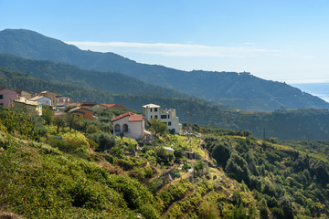 Fototapeta na wymiar Volastra is village in the Cinque Terre National Park. Italy.