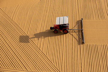 tractor flattening cracked wheat for drying