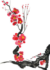 A branch of a blossoming sakura. Pink and red stylized flowers of plum mei and  wild cherry . Watercolor and ink illustration of tree in style sumi-e, go-hua,  u-sin. Oriental traditional painting. .