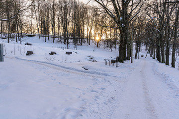 Photo of an Empty Walkway in Park in Alley on Sunny Winter Evening