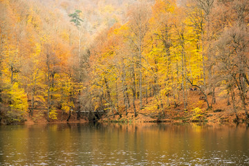 autumn at lake