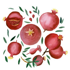 A set of acral pladas pomegranates and twigs with foliage. For postcards and prints on fabric.