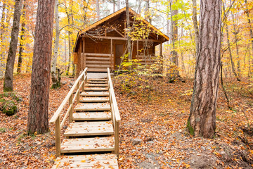 Landscape view of a home in the fall with all the colorful foliage