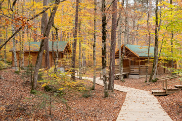 Landscape view of a home in the fall with all the colorful foliage
