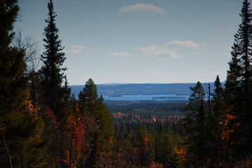 Aussicht im Herbst auf Seen und Bäume