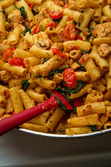 Rigatoni Chicken Vegetable Alfredo