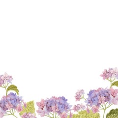 a frame of watercolors of hydrangeas