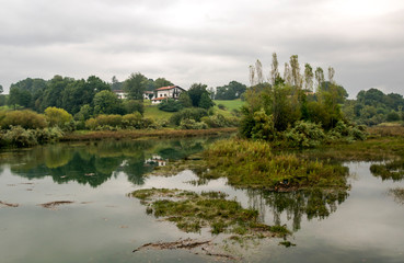 Fototapeta na wymiar Lake with trees reflected in the Basque Country on a cloudy day