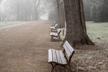  Parklandschaft in Leipzig im Winter mit frostigen nebeligen Wetter vereisten Bäumen